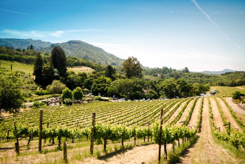 Why Stay in an Airbnb in Sonoma, California