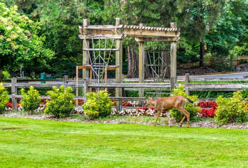 Cool Things to do in Washington: Tacoma Point Defiance Park