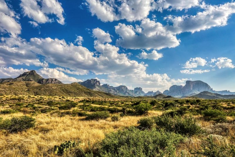 Must Do Things in Texas: Big Bend National Park