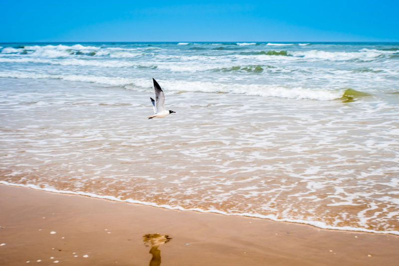 Must Do Things in Texas: South Padre Island