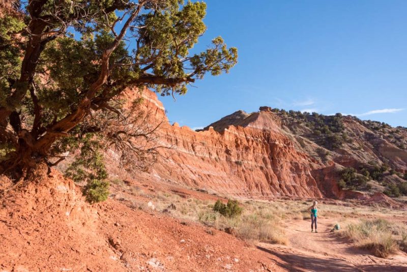 Texas Things To Do: Palo Duro Canyon State Park