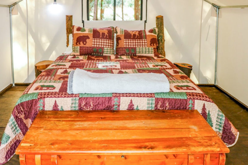 Unique Myrtle Beach Airbnbs and Vacation Rentals: Luxury Glamping Tent