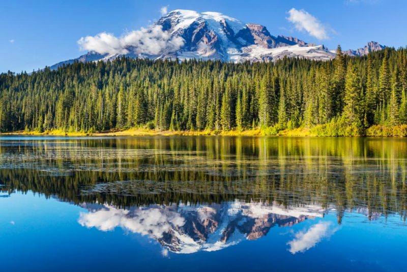 What to Do in Washington: Mt. Rainier National Park