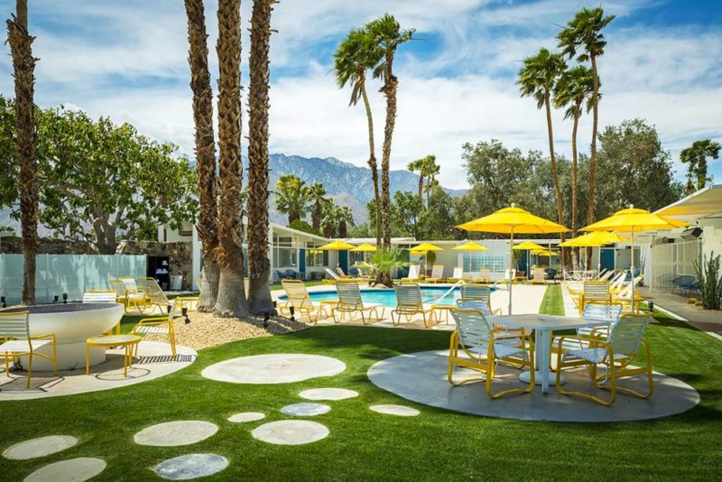 Best Hotels in Palm Springs, California: Monkey Tree Hotel