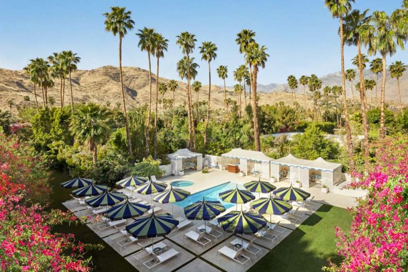 Boutique Palm Springs Hotels: The Parker