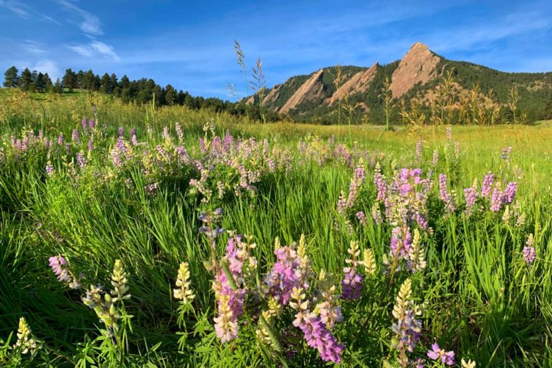 3 Days in Boulder Itinerary: Chautauqua Park and the Flatirons