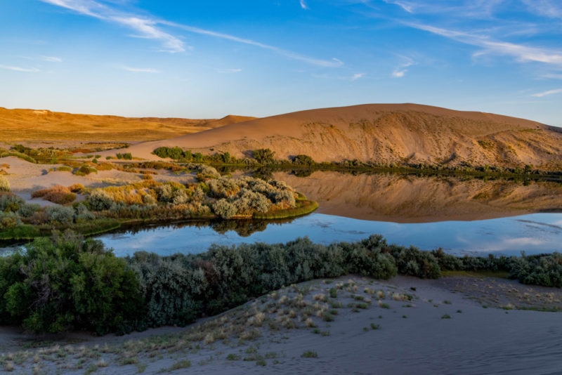 What to do in Idaho: Bruneau Dunes State Park