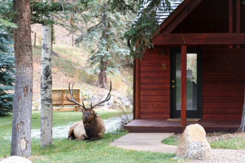 Best Hotels Near Rocky Mountain National Park: Boulder Brook