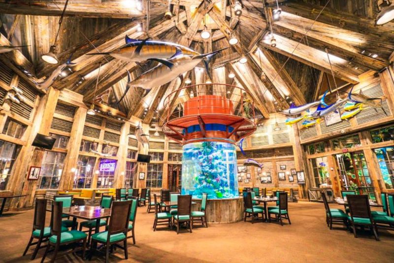 Unique Hotels in Memphis, Tennessee: Big Cypress Lodge