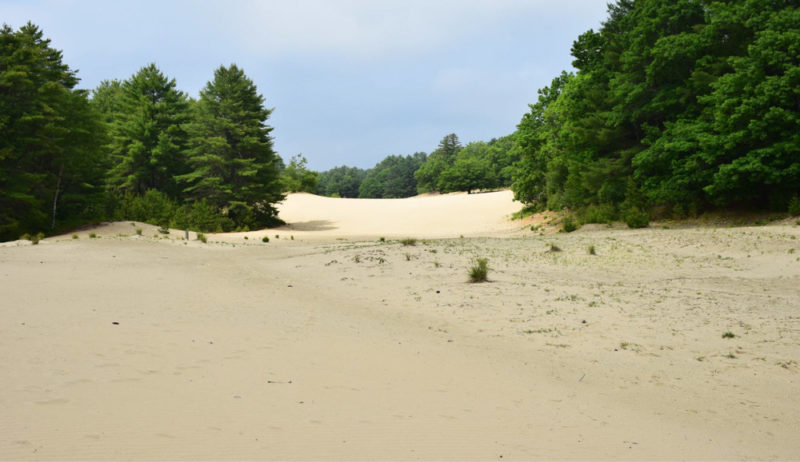 Best Things to do in Maine: Desert of Maine