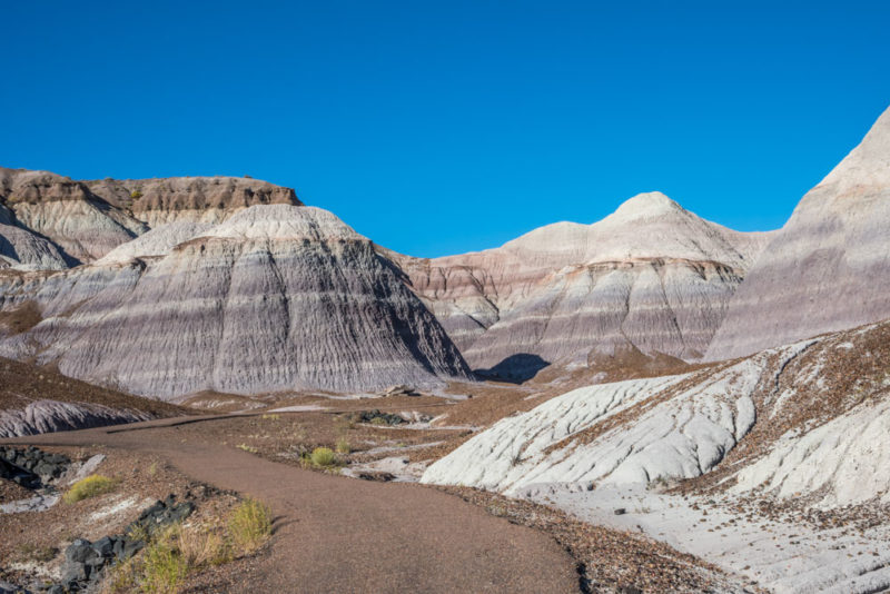 Best Things to do in Arizona: Petrified Forest
