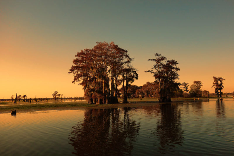 Best Things to do in Louisiana: Largest Wetland and Swamp in the United States