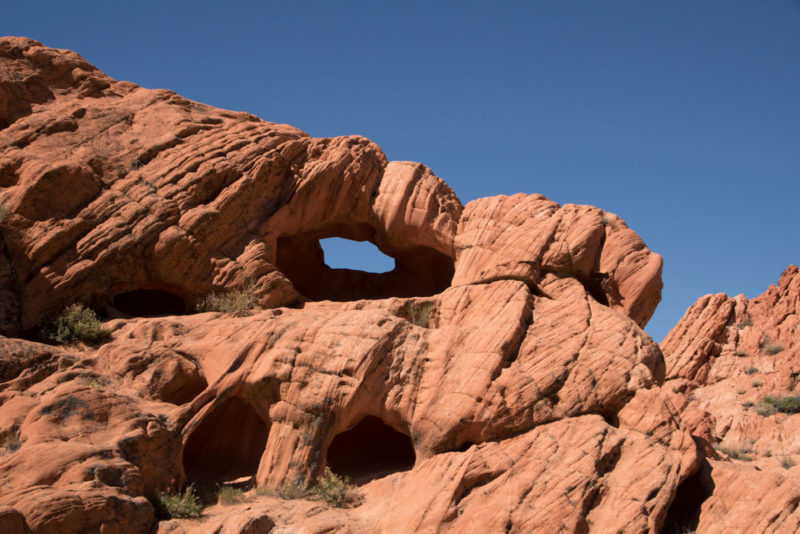 Best Things to do in Nevada: Gold Butte National Monument