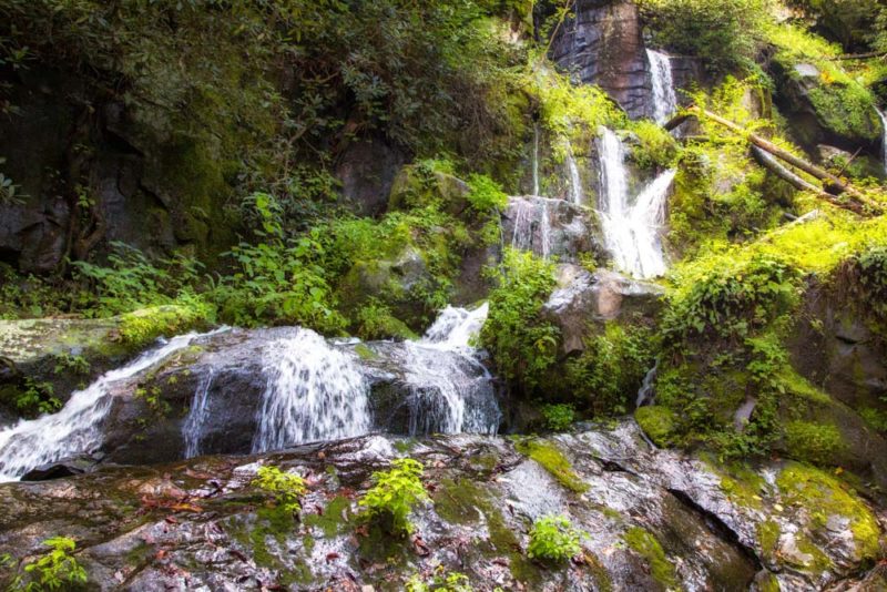 Best Things to do in North Carolina: Smoky Mountains National Park