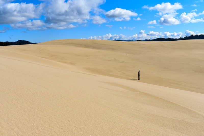 Best Things to do in Oregon: Sand Dunes