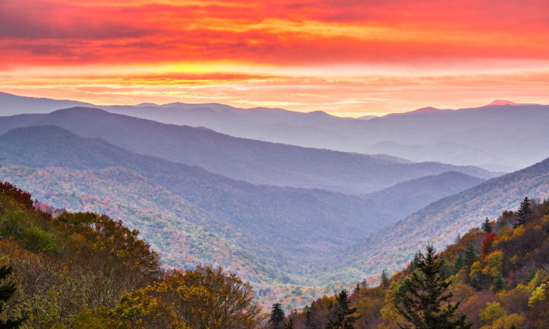 The Best Things to do in Tennessee