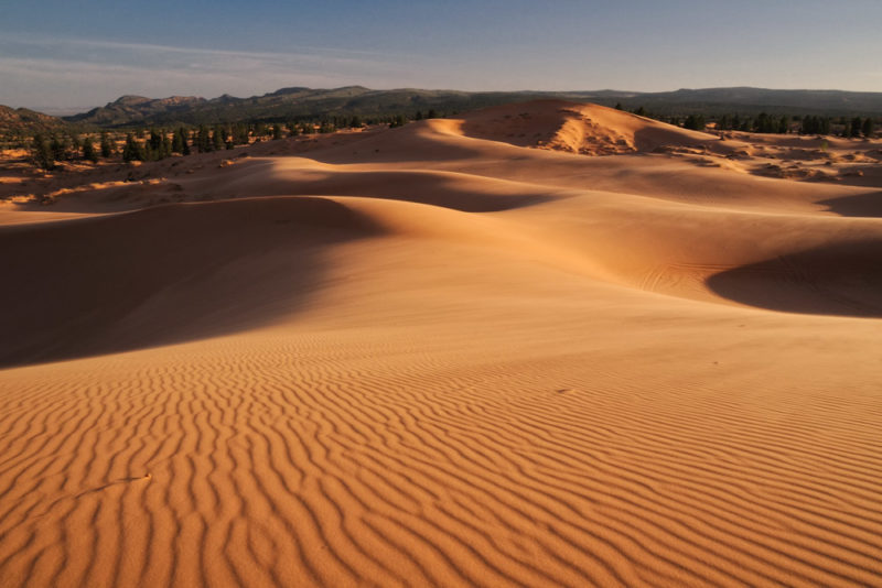 Best Things to do in Utah: Coral Pink Sand Dunes State Park