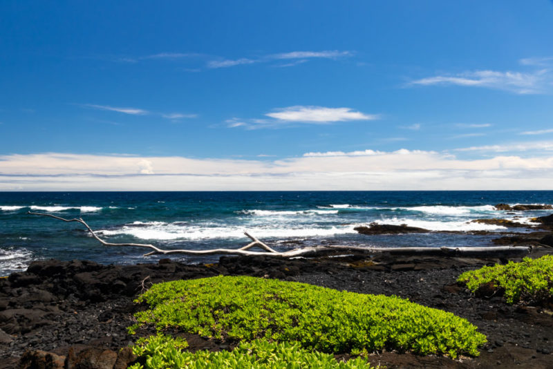 Best Things to do on Hawaii’s Big Island: Punaluu Black Sand Beach