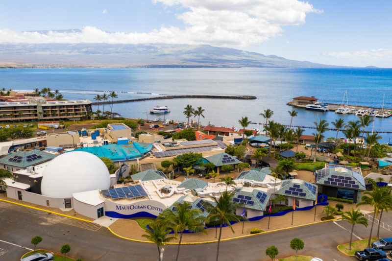 Best Things to do on Maui: Maui Ocean Center