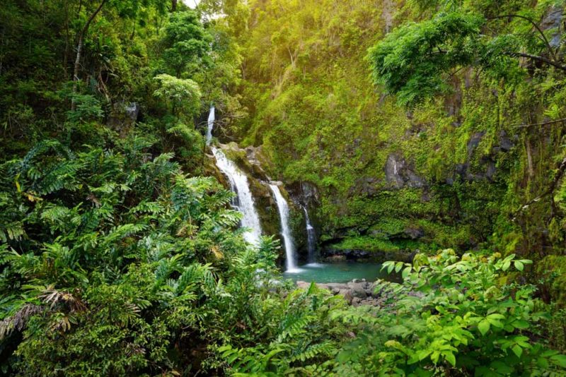 Best Things to do on Maui: Road to Hana