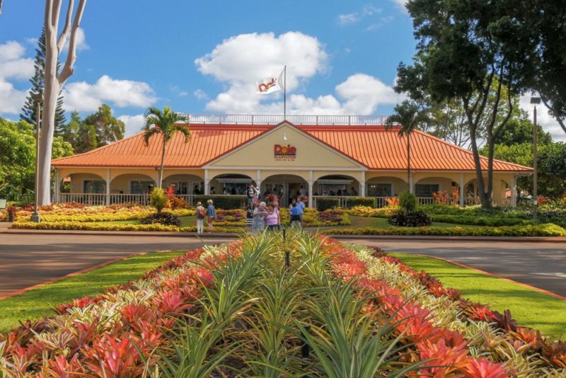 Best Things to do on Oahu: Dole Plantation