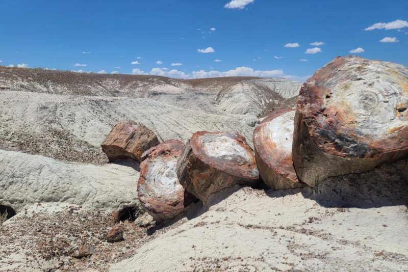 Cool Things to do in Arizona: Petrified Forest