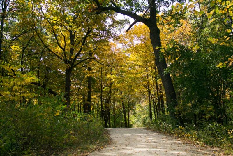 Cool Things to do in Illinois: Waterfall Glen Forest Preserve