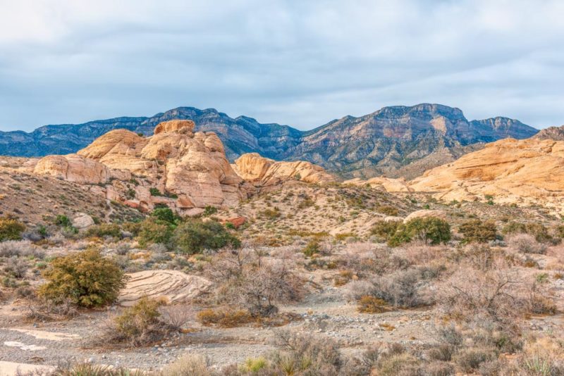 Cool Things to do in Nevada: Red Rock Canyon National Conservation Area