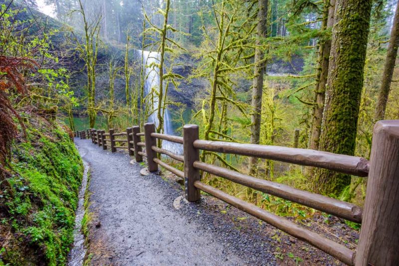Cool Things to do in Oregon: Silver Falls State Park