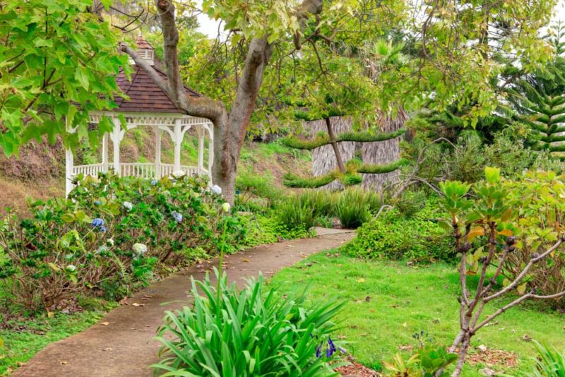 Cool Things to do on Maui: Kula Botanical Garden