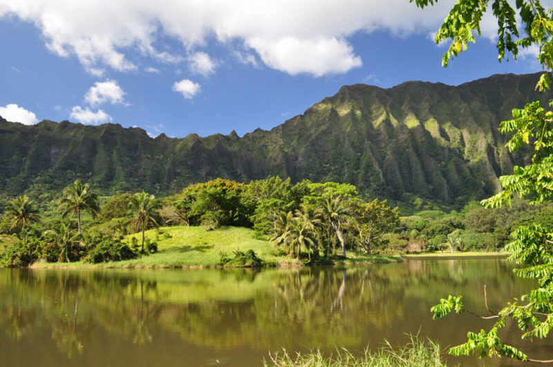 Cool Things to do on Oahu: Ho’omaluhia Botanical Garden