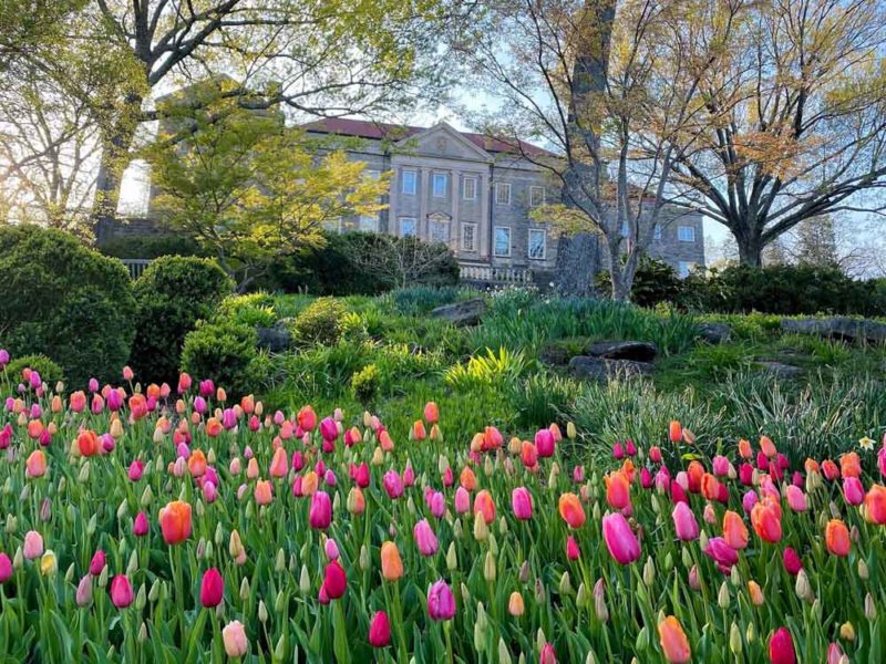 Fun Things to do in Tennessee: Cheekwood Gardens