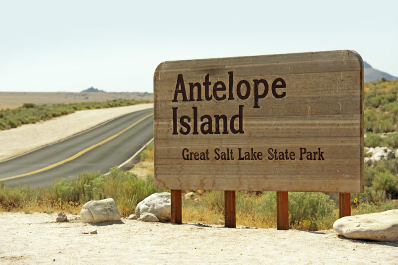 Fun Things to do in Utah: Antelope Island State Park