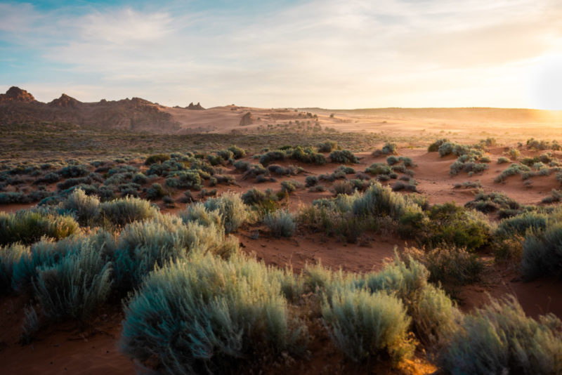 Fun Things to do in Utah: Sand Hollow State Park