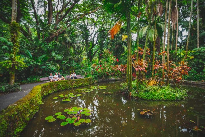 Fun Things to do on Hawaii’s Big Island: Hawaii Tropical Bioreserve & Garden