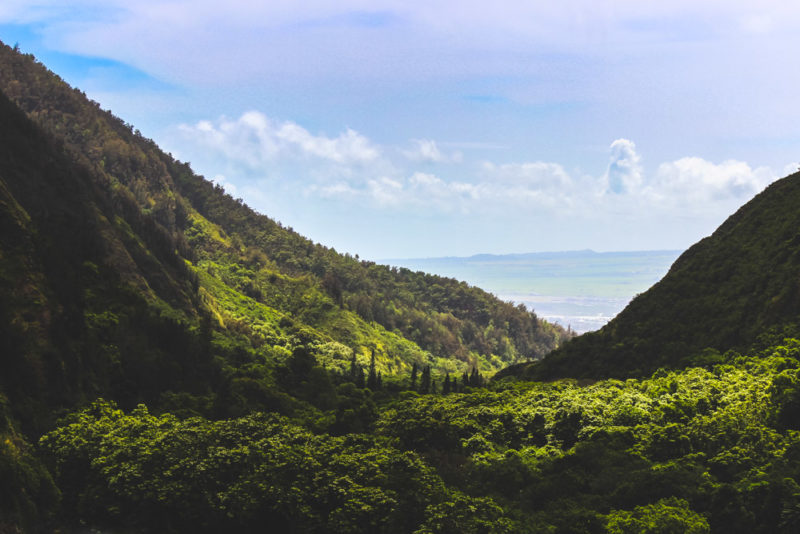 Fun Things to do on Maui: Iao Valley State Park