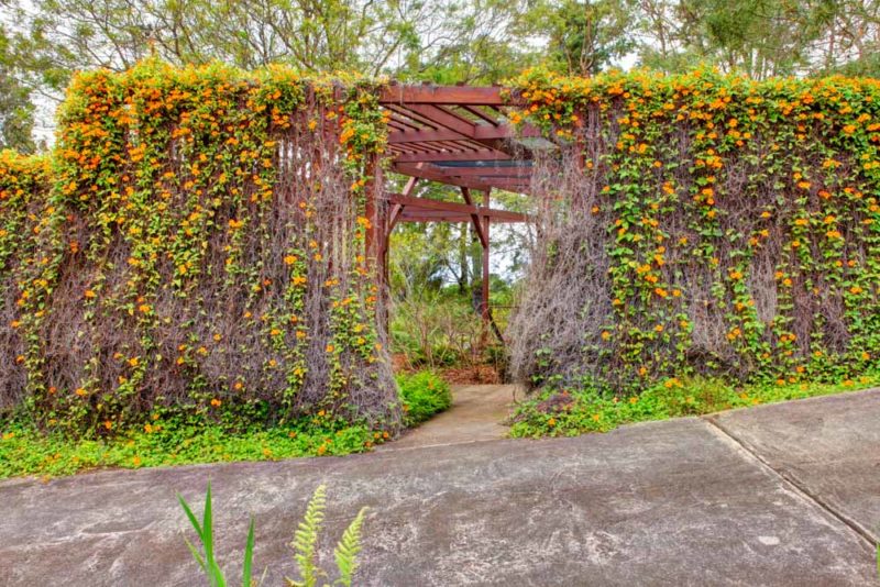 Fun Things to do on Maui: Kula Botanical Garden