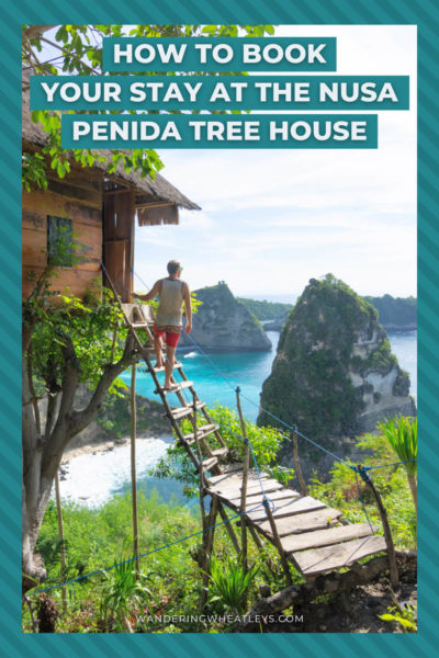 Guide to the Nusa Penida Treehouse