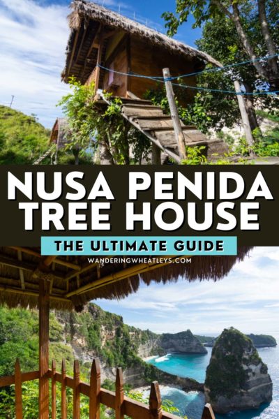 Guide to the Nusa Penida Treehouse