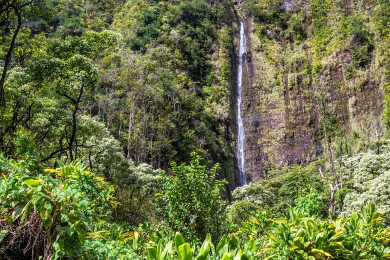 Hawaii Bucket List: Swim in the Seven Sacred Pools and Hike the Pipiwai Trail