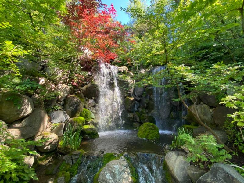 Illinois Bucket List: Anderson Japanese Gardens