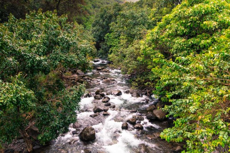 Maui Bucket List: Iao Valley State Park