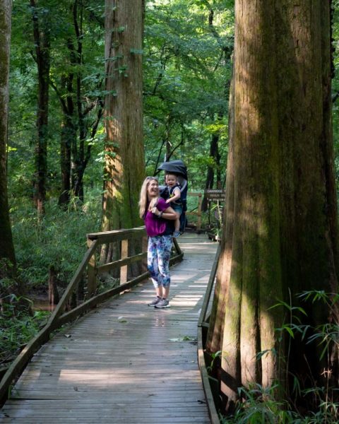 Things to do with Children in Columbia, South Carolina: Conagree National Park