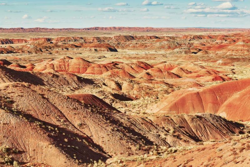 Unique Things to do in Arizona: Painted Desert