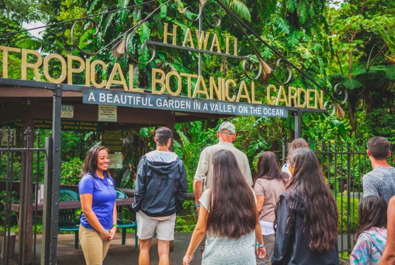 Unique Things to do in Hawaii: Hawaii Tropical Bioreserve & Garden