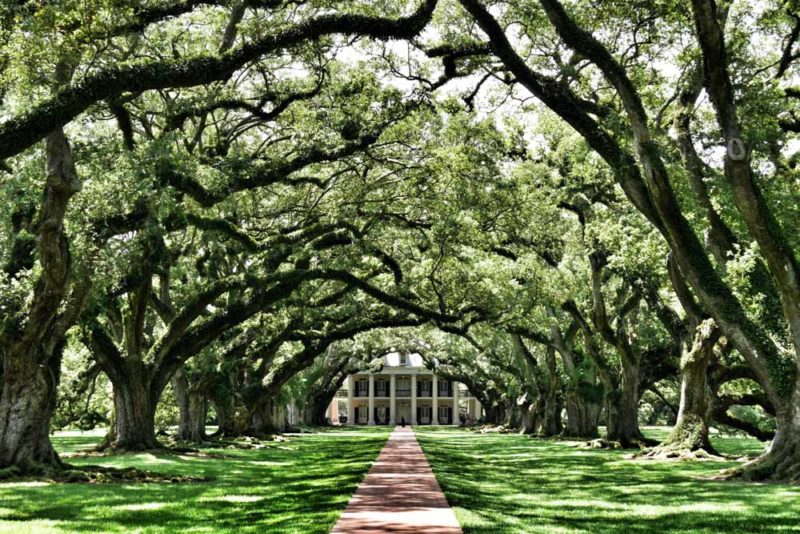 Unique Things to do in Louisiana: Whitney Plantation