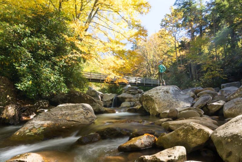 Unique Things to do in Tennessee: Great Smoky Mountains