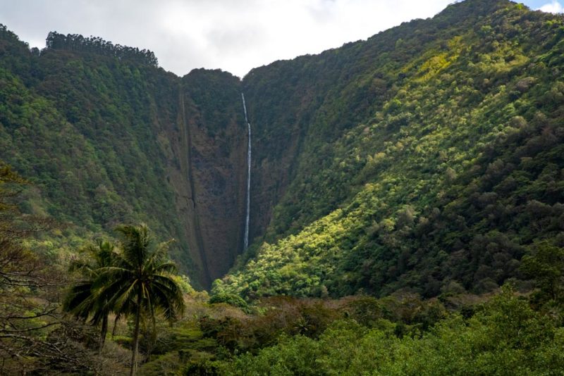 Unique Things to do on Hawaii’s Big Island: Kaluahine Falls in Waipio Valley