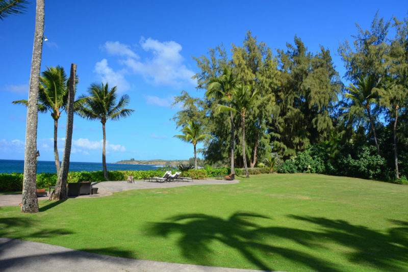 Unique Things to do on Maui: D.T. Fleming Beach Park