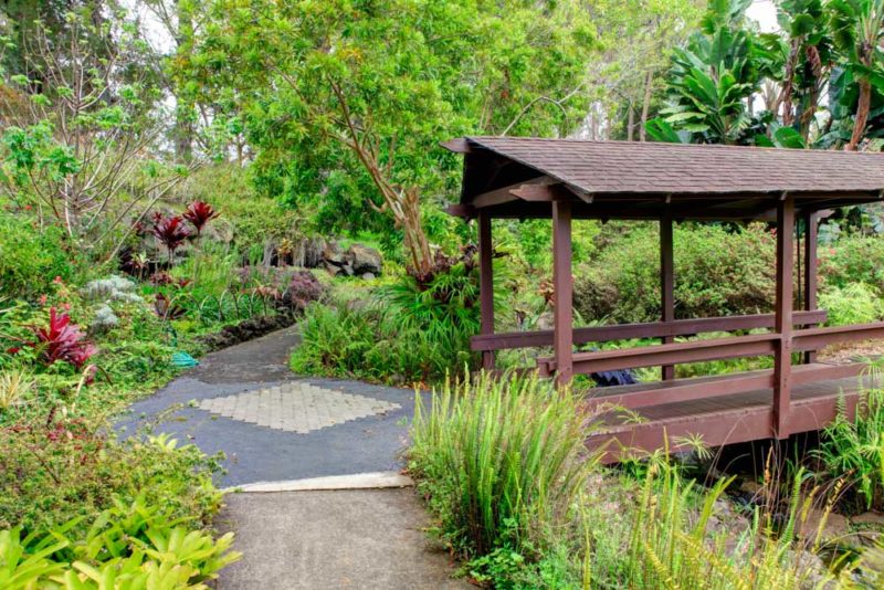 Unique Things to do on Maui: Kula Botanical Garden